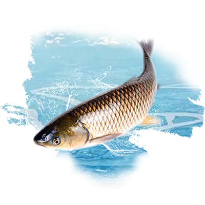 研發(fā)平臺(tái)